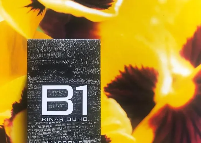 Bed & Breakfast Binariouno 4*