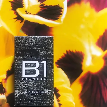 Panzió Binariouno 4*