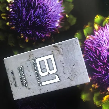 Panzió Binariouno 4*