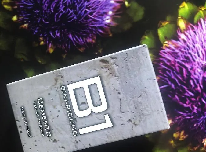 住宿加早餐酒店 Binariouno 4*