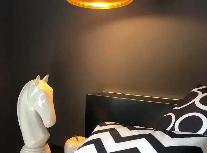 Binariouno 博洛尼亚